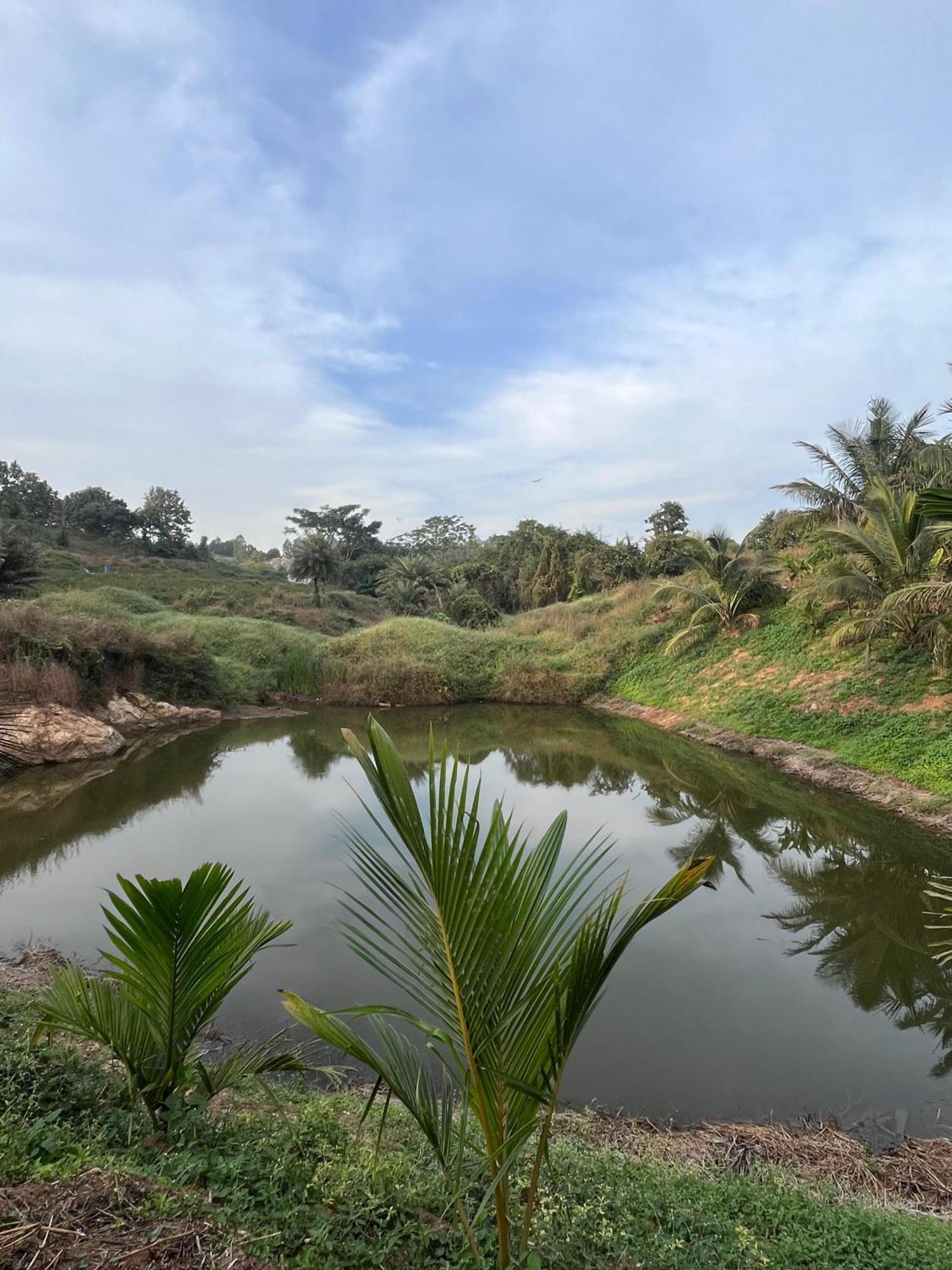 Gandhadagudi Nature Retreat Bangalore Eksteriør bilde